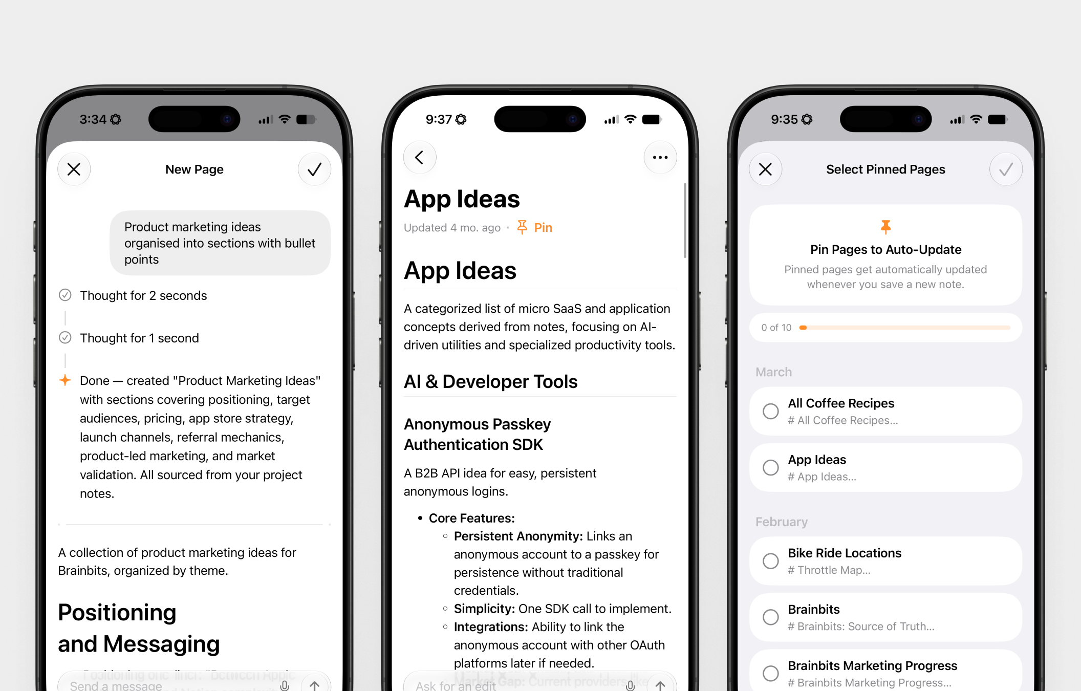Brainbits Pages interface