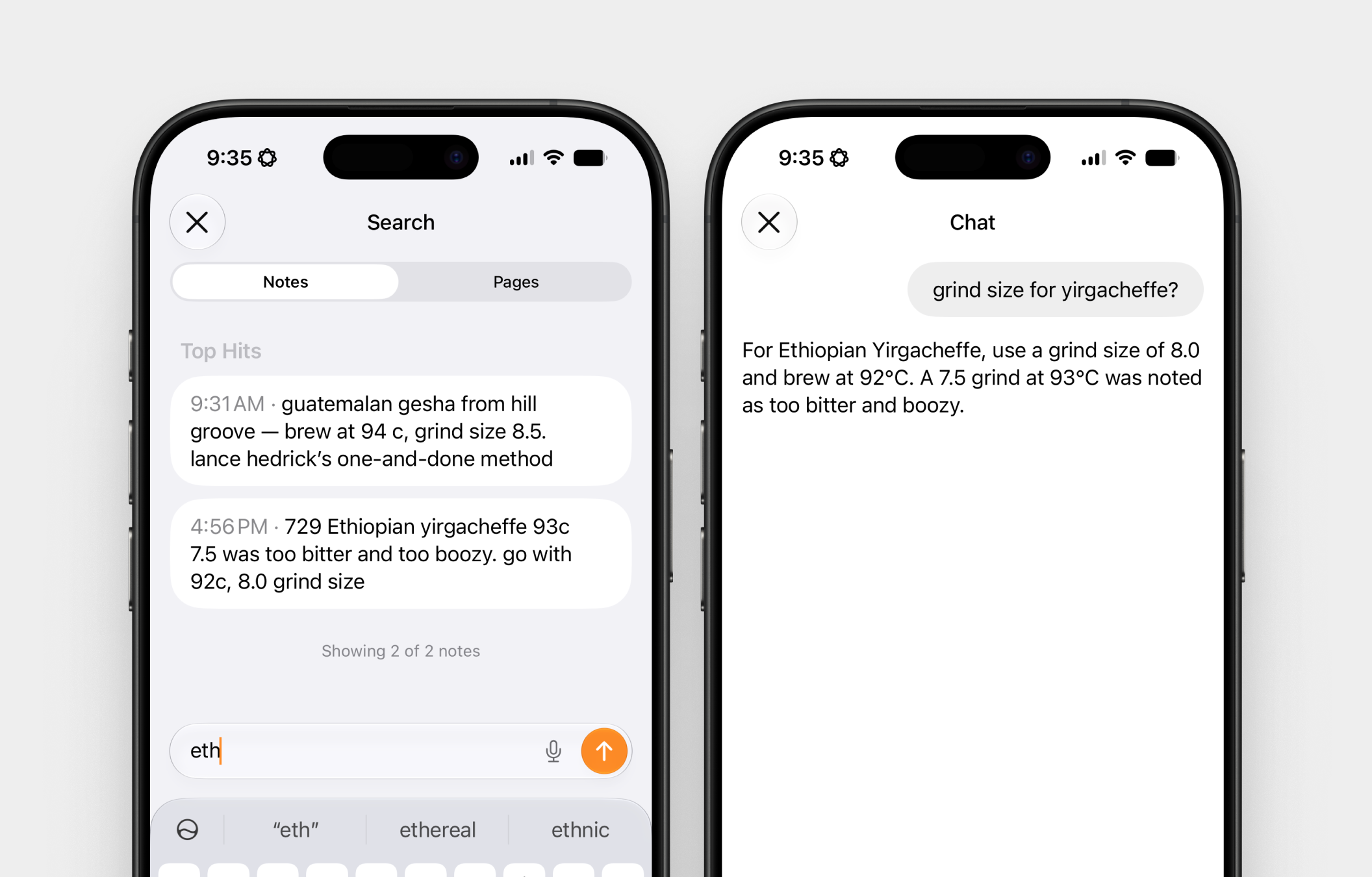 Brainbits search and chat interface